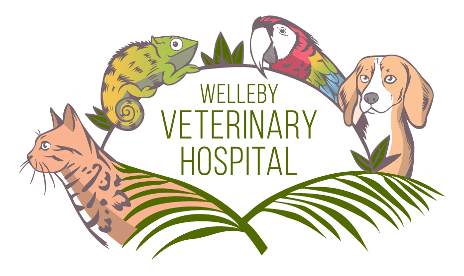 Welleby Vet Logo