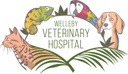 Welleby Veterinary Hospital: Vet in Sunrise, FL