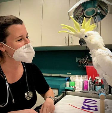 dr. zimandy with a bird