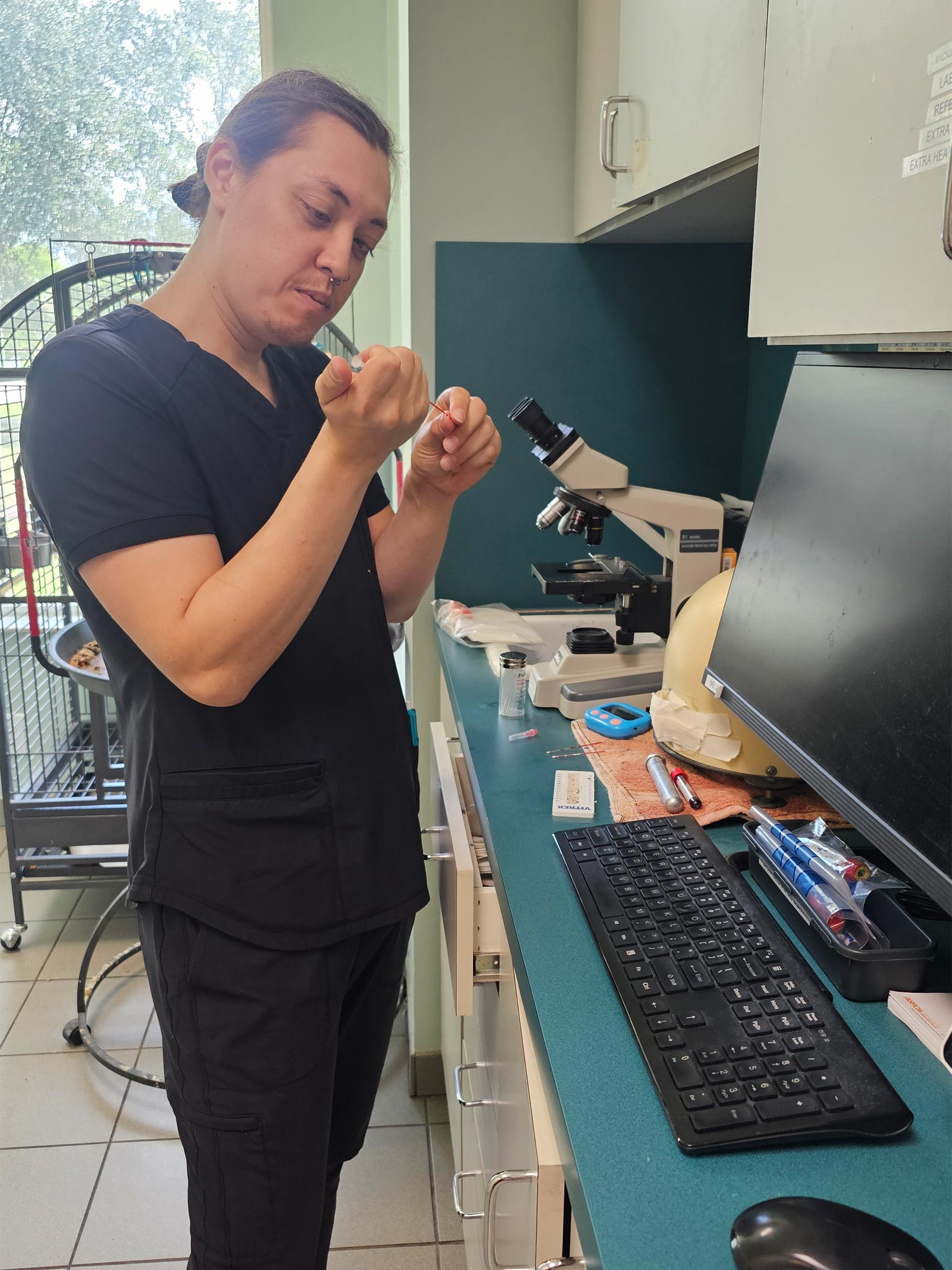 Staff Member In Laboratory