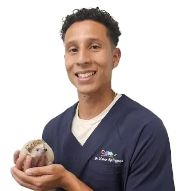 Dr. Mateo Rodriguez Welleby